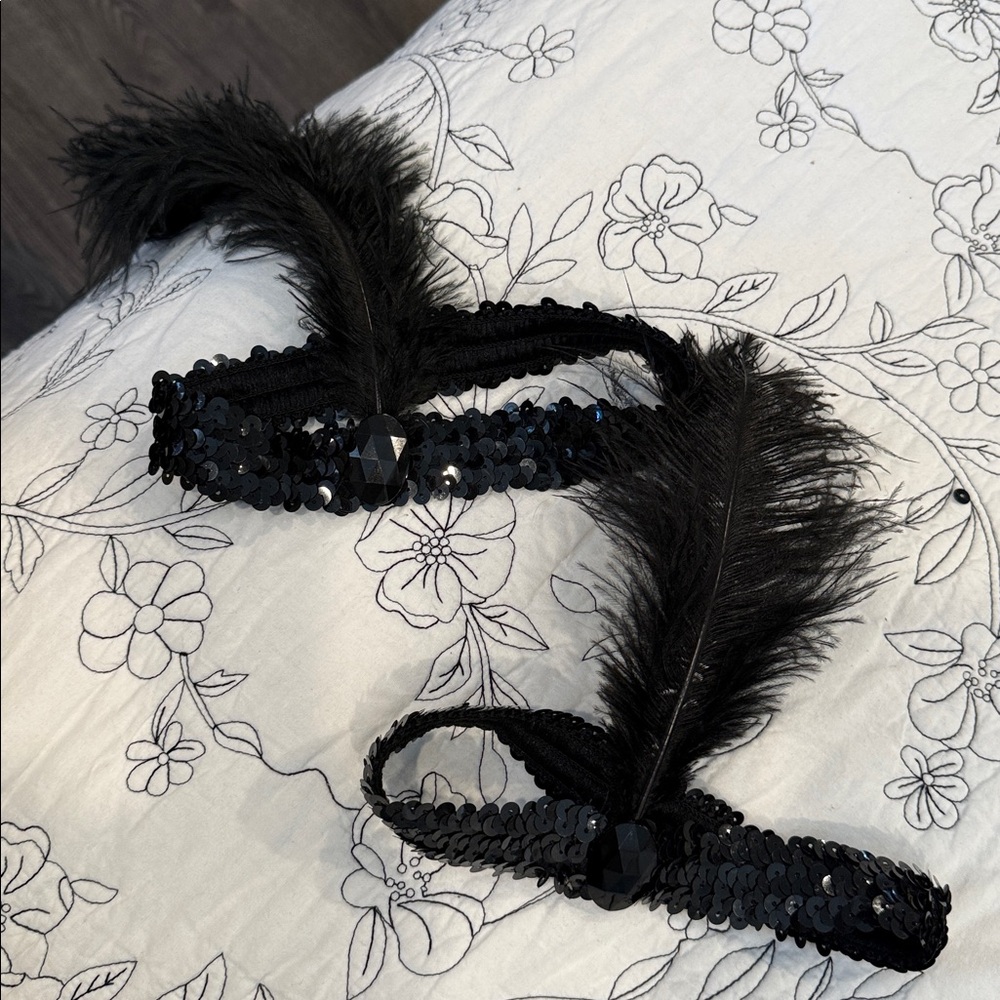 Elegant Black Feathered Headband 2 pairs